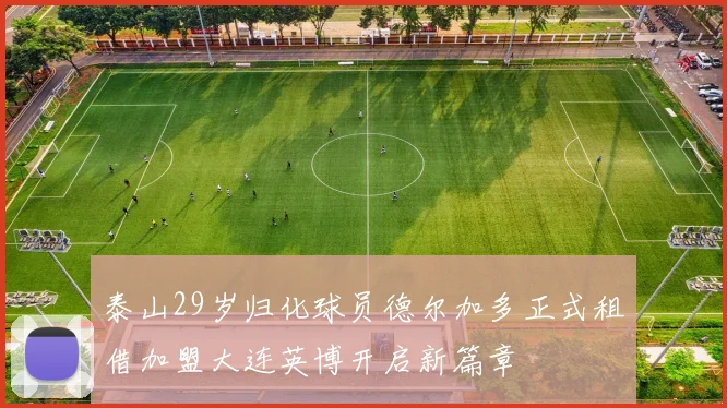 泰山29岁归化球员德尔加多正式租借加盟大连英博开启新篇章