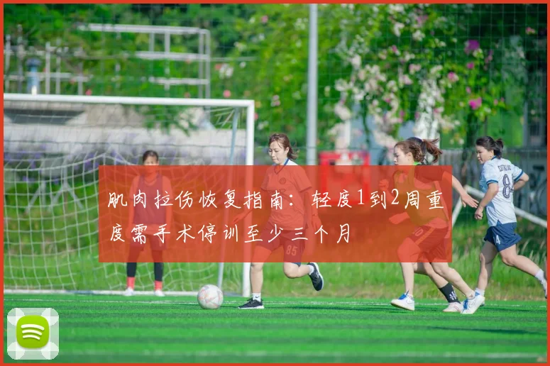 肌肉拉伤恢复指南：轻度1到2周重度需手术停训至少三个月